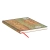 notatnik-w-linie-Paperblanks-Wild-Thistle-Vox-Botanica-9781439794067_Edge_Highres.webp