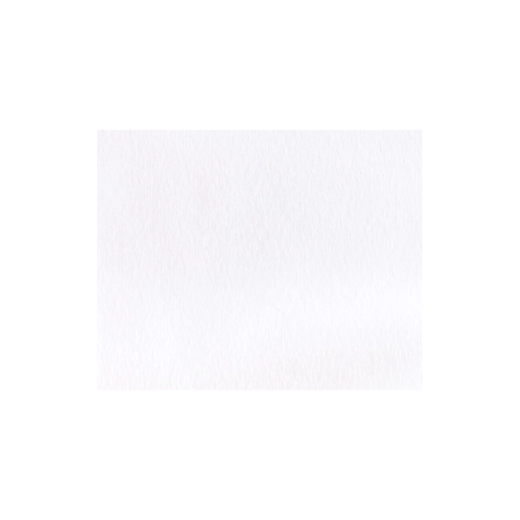 FARBA-AKWARELOWA-KURETAKE-GANSAI-TAMBI-010-WHITE-wzornik.webp