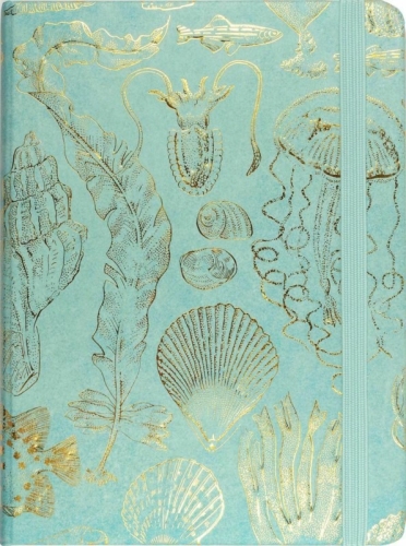 160ec65921a7ebf1cb9aa88aaadc511d.jpg
