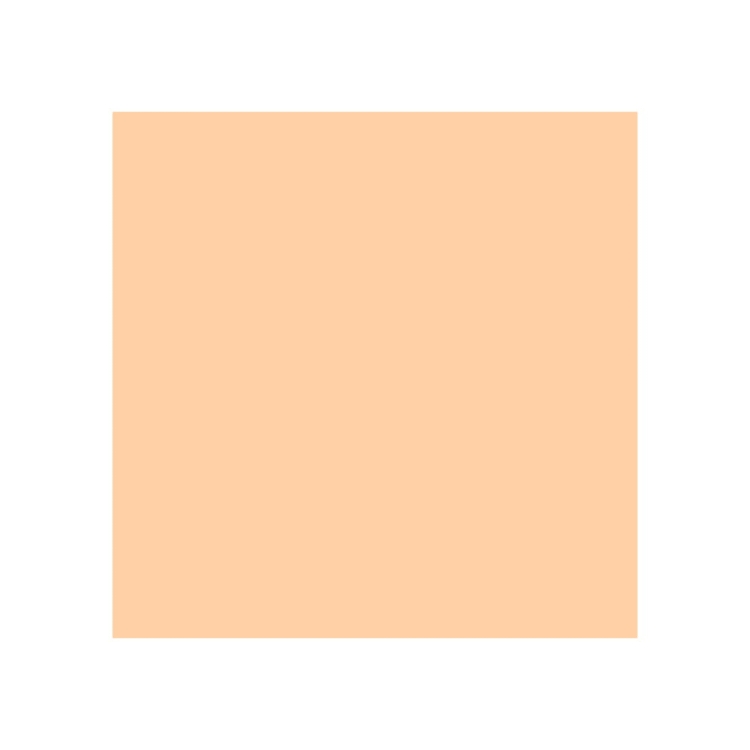 brushpen-ecoline-talens-apricot-258-artly.jpg