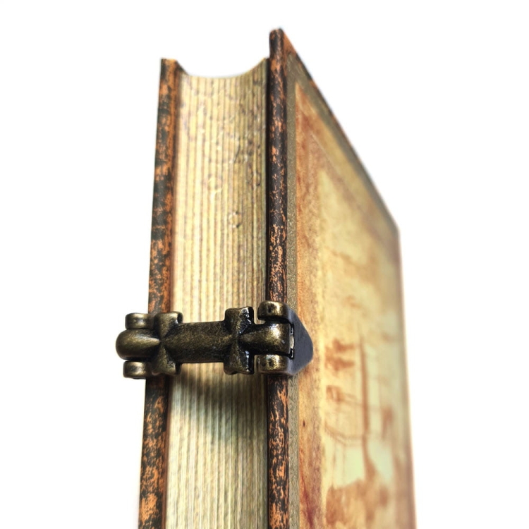 notatnik-w-linie-Paperblanks_Dumas_Midi_ARTLY2.jpg