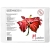 papier-bawelniany-do-akwareli-maestro-cold-pressed-hibiskus-400gm2-a3-5-ark-papierartystycznypl.jpg